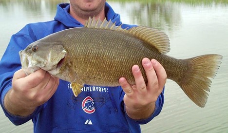The Challenge of Smallmouth Bass