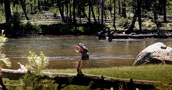 All About Fly Fishing Tools of the Trade