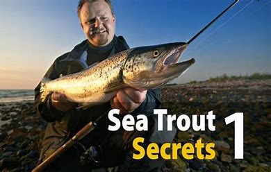 Trout Fishing Secrets