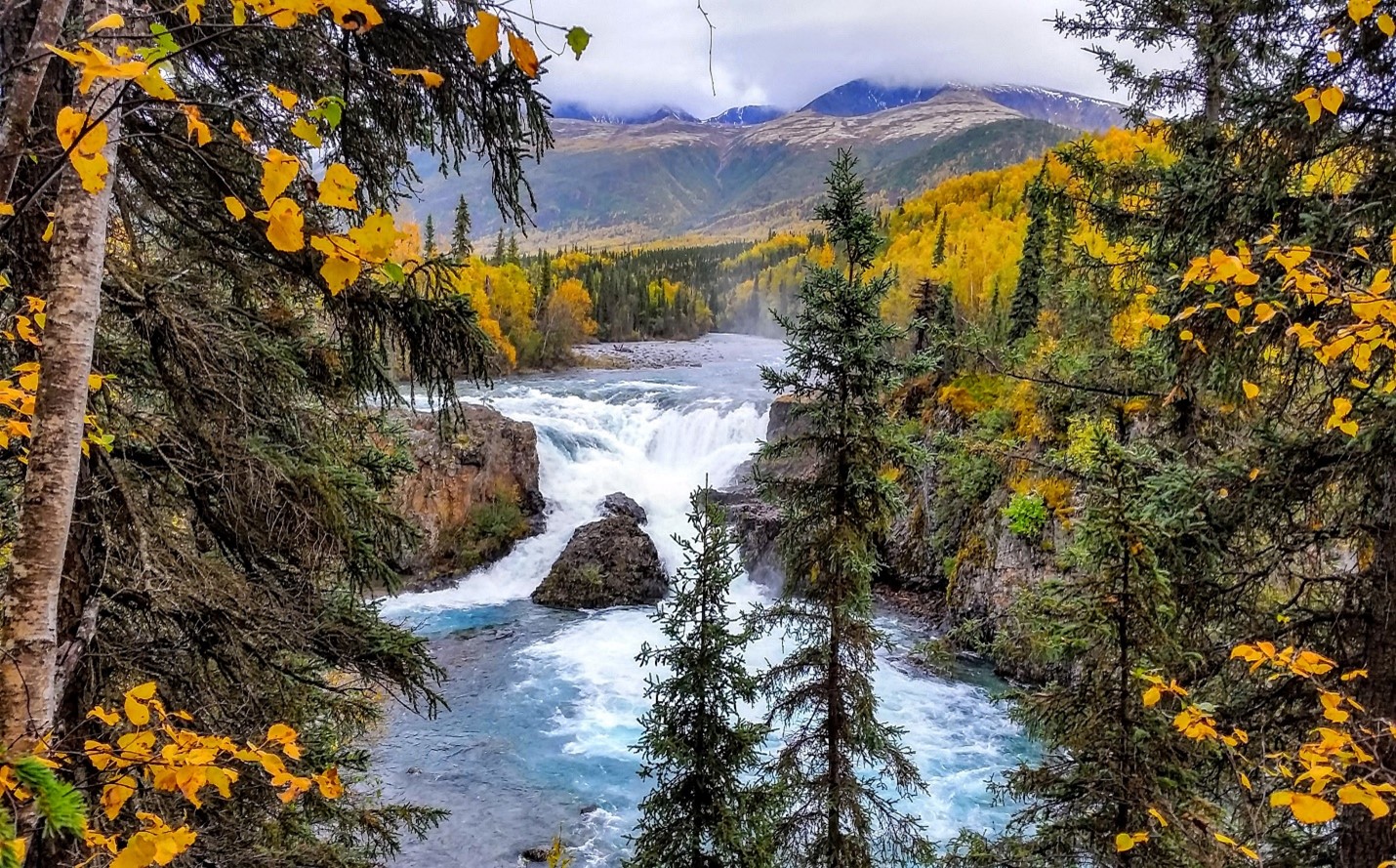 Alaska Hiking