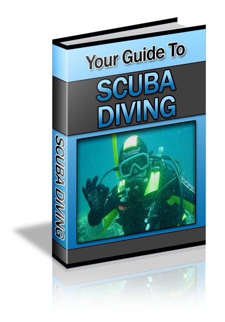 Your Guide to Scuba Diving