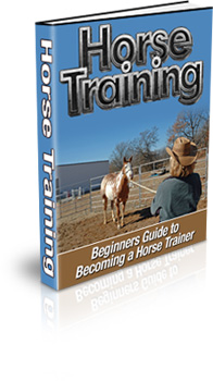 Beginners Guide to Horse Training