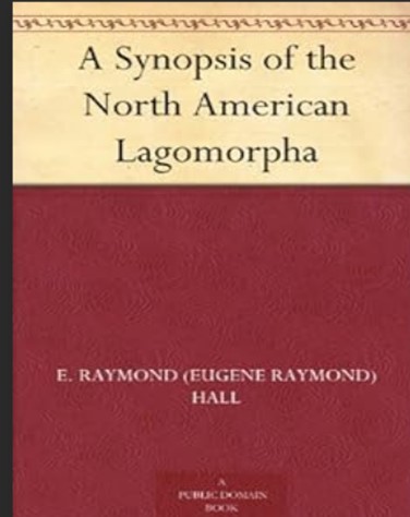 A Synopsis of the North American Lagomorpha