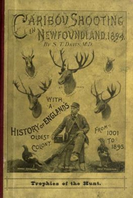 Caribou Shooting In Newfoundland