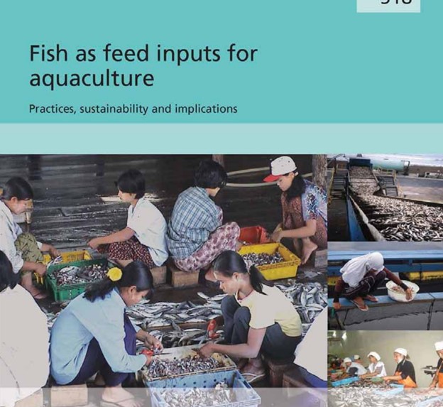 Fish as Feed Inputs for Aquaculture
