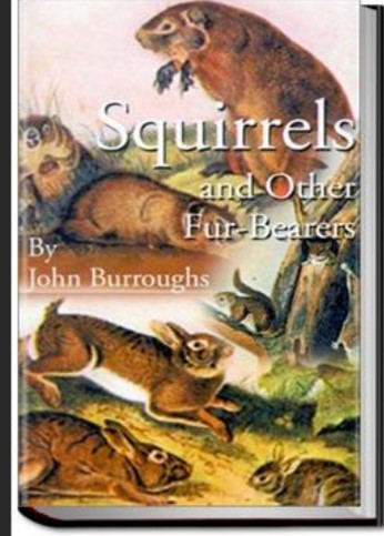 Squirrels and other Fur-Bearers