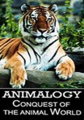 Animalogy Conquest of the Animal World